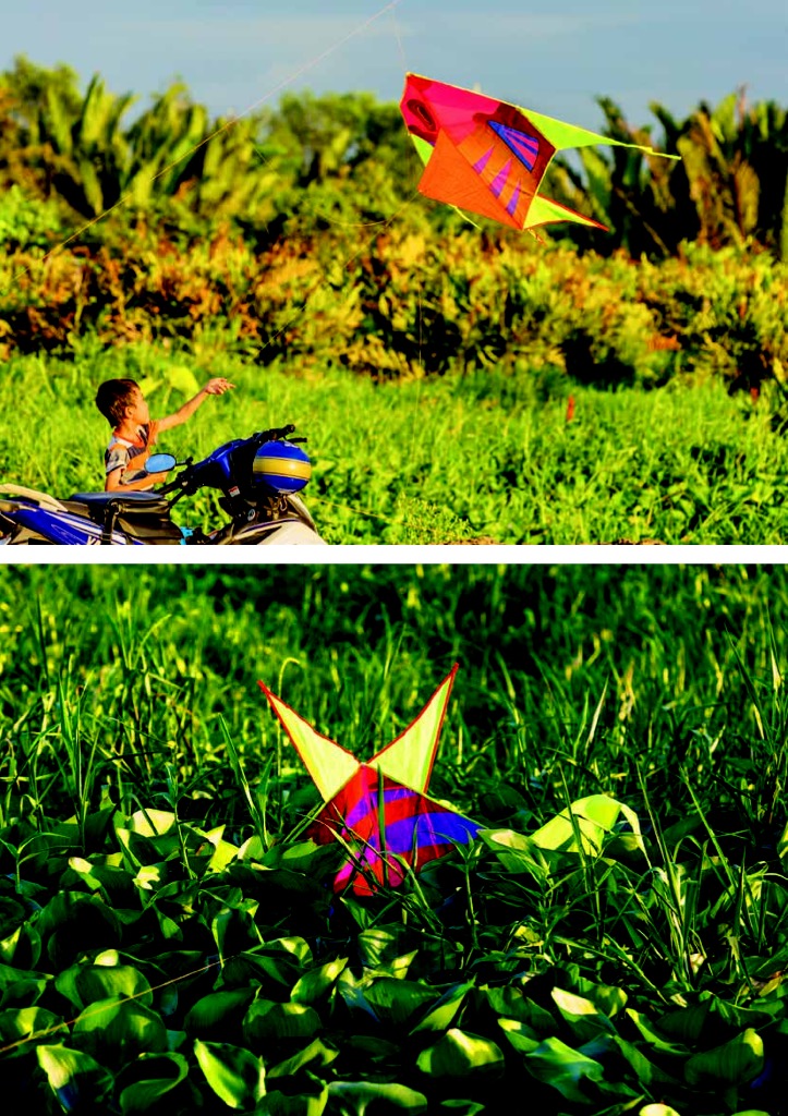 Kites 2.jpg