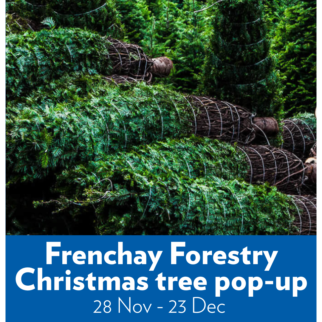 Frenchay Forestry Christmas Tree Pop-Up Aerospace Bristol.png