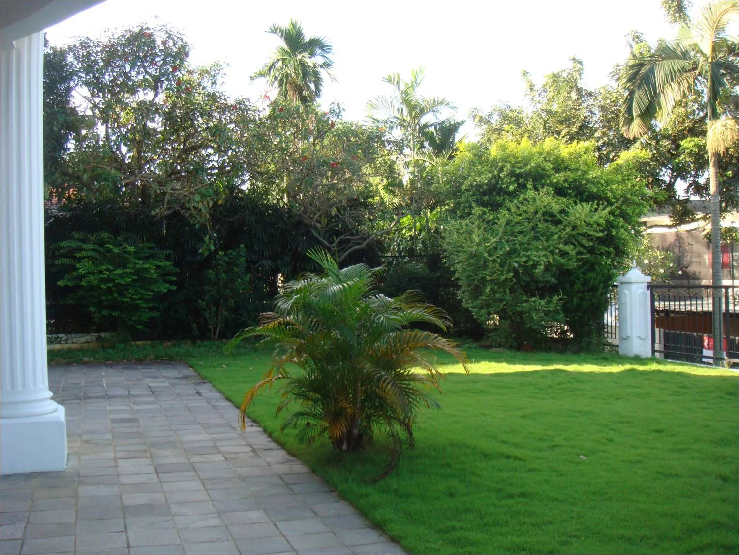 Picture5.jpg
