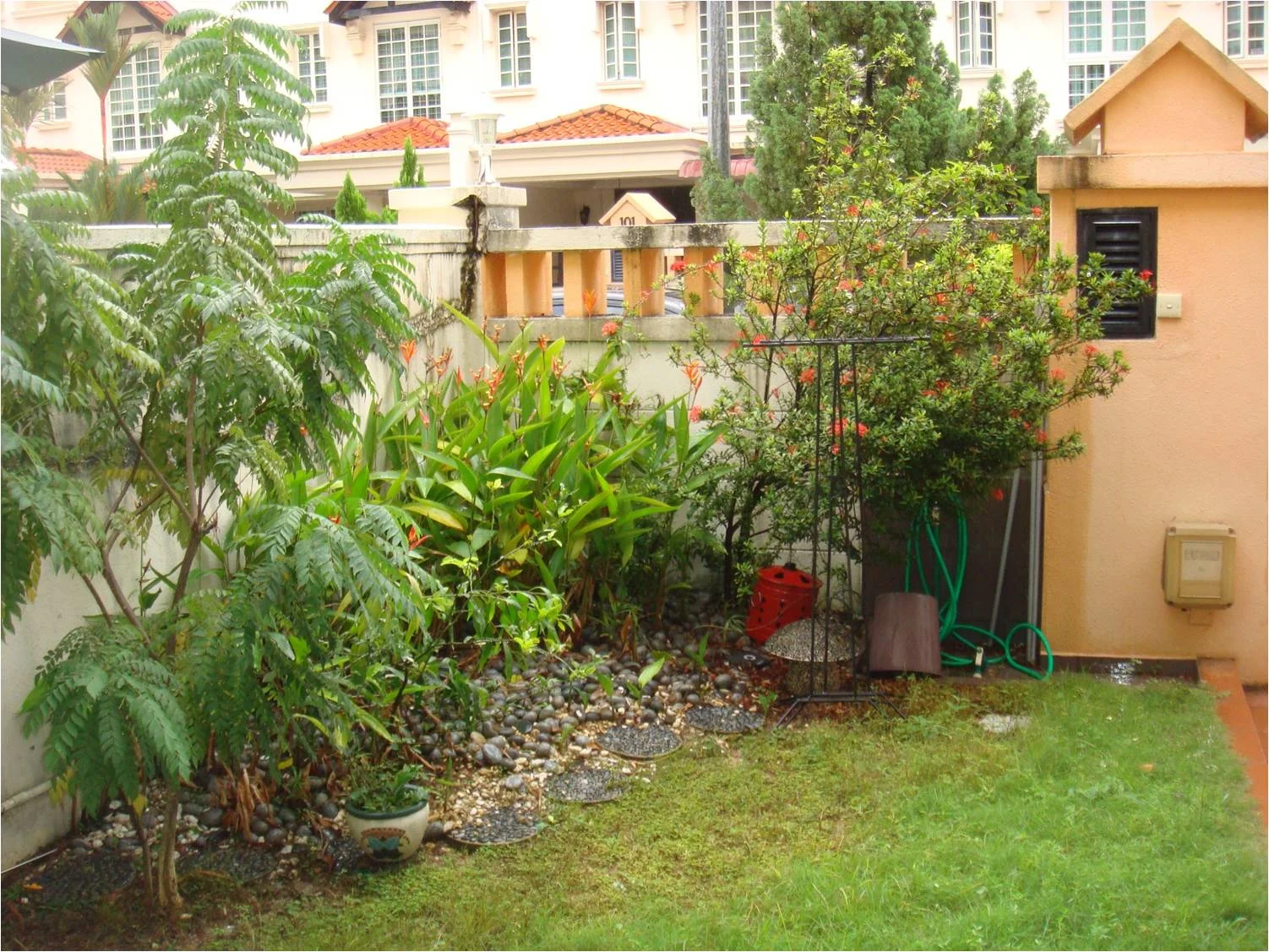 Picture14.jpg