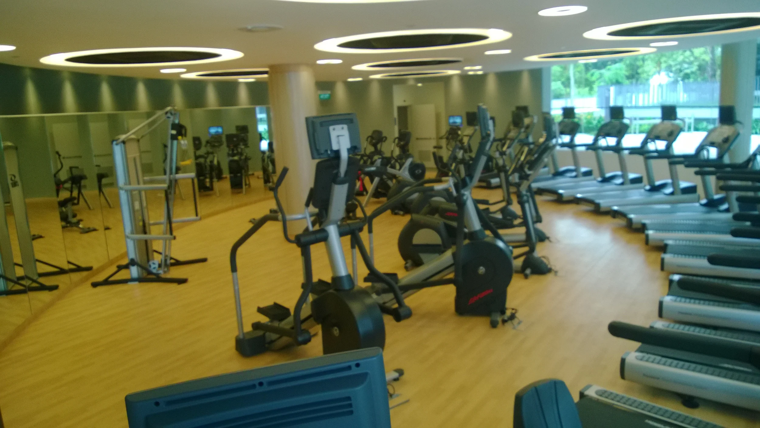 WP_20131130_026.jpg