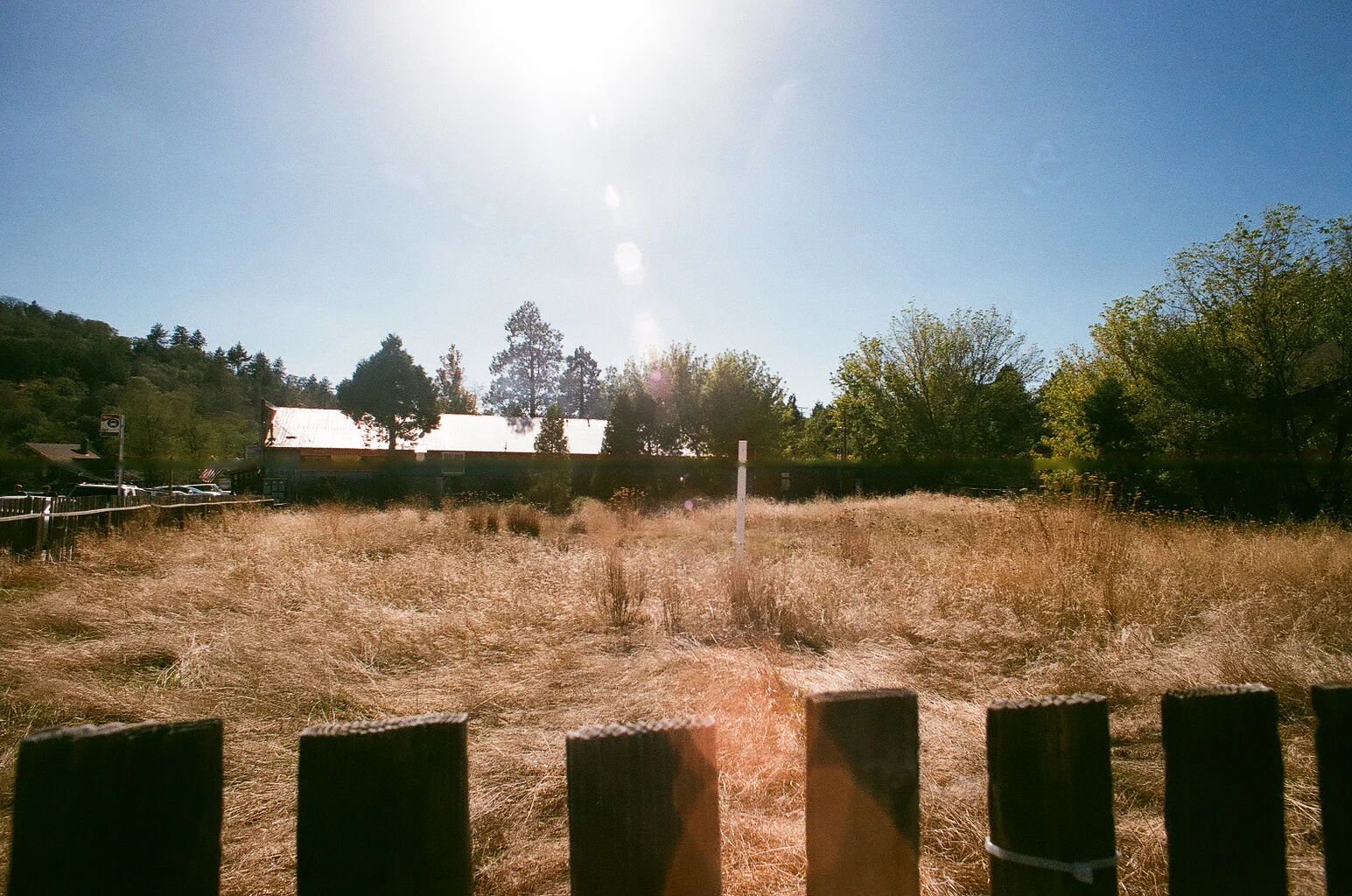 0017_17.jpg