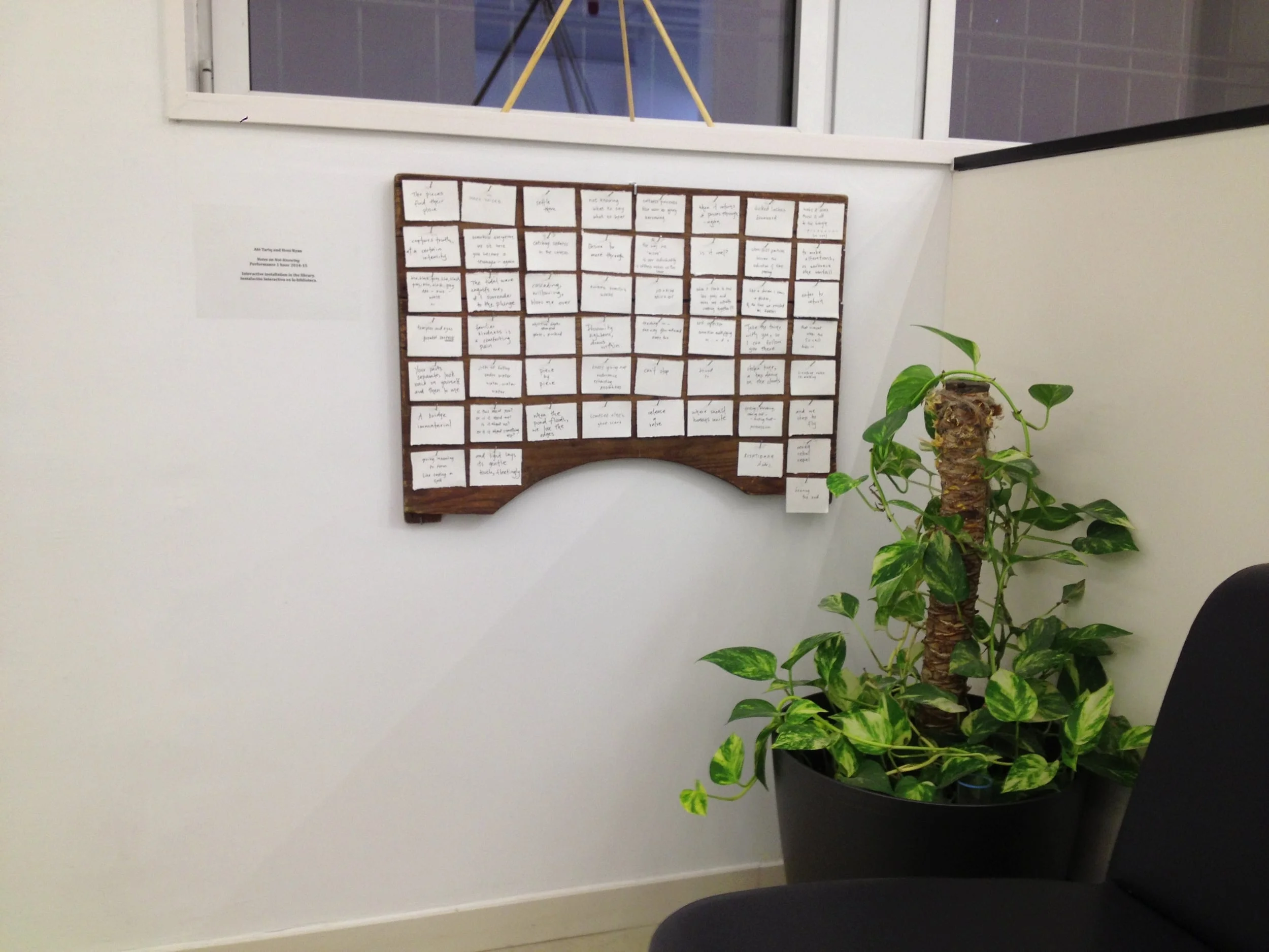 Installation View at Goethe Institute
