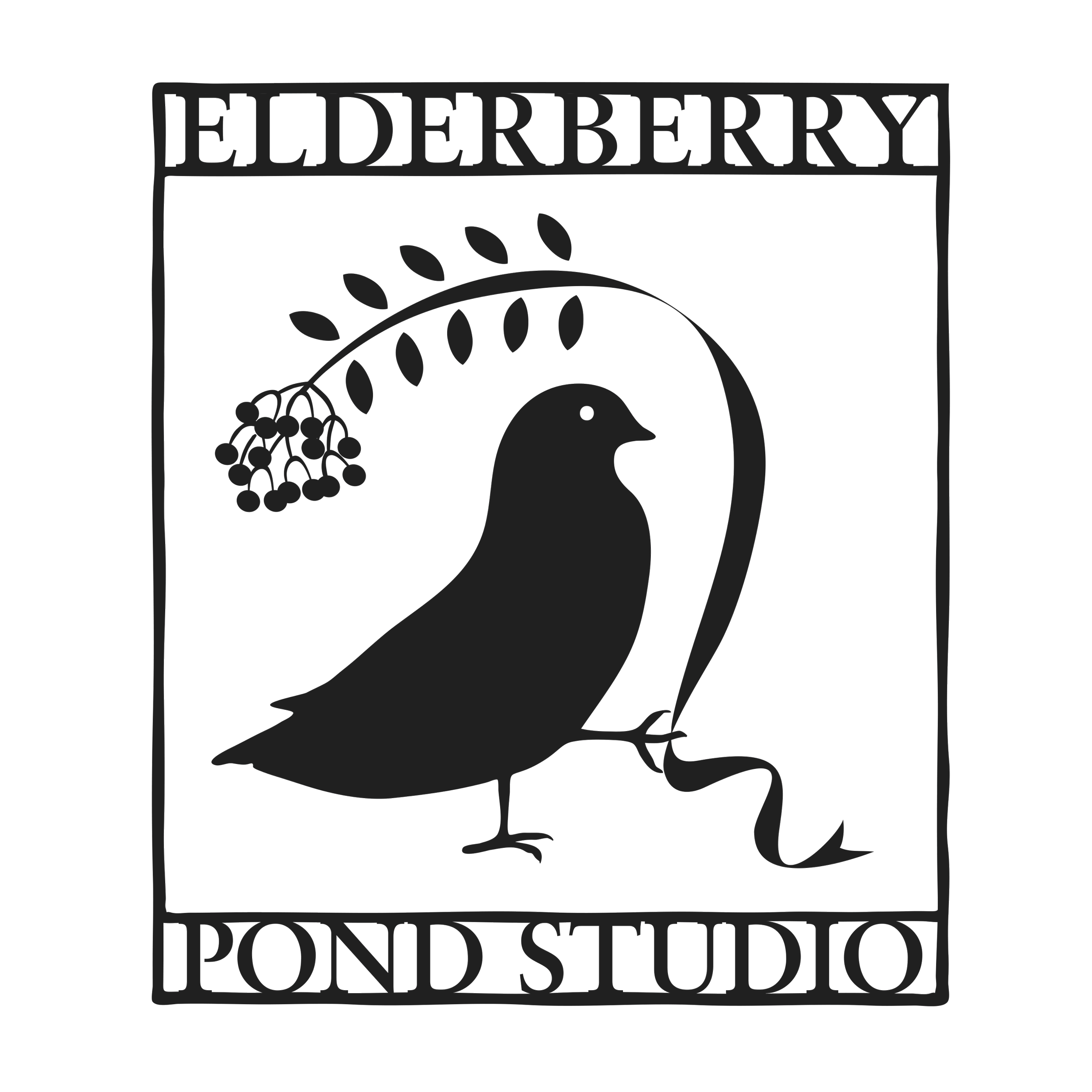 Elderberry Pond Studio