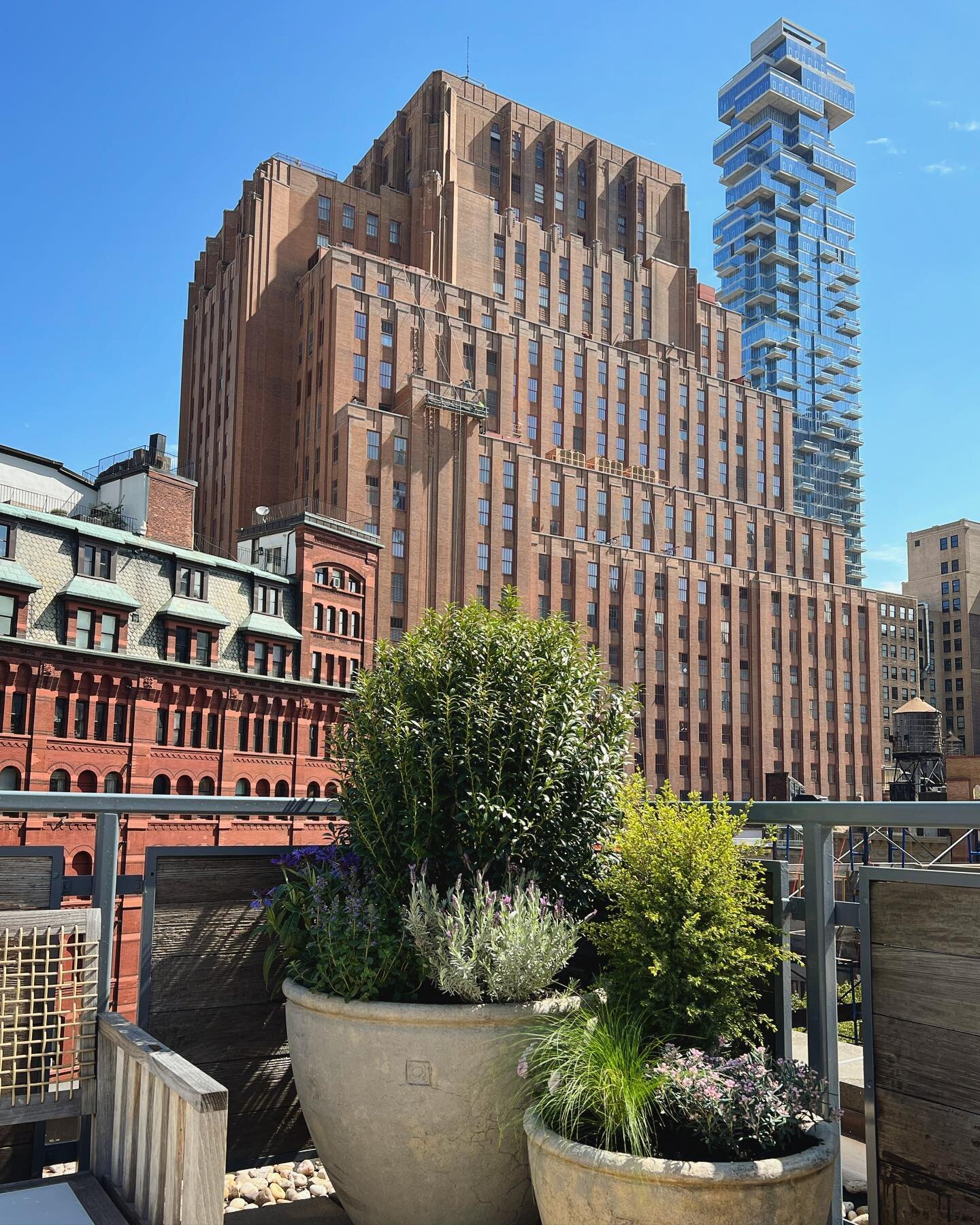 Stunning views from one of four terraces of a gorgeous Tribeca penthouse. Thank you @hoveydesign for bringing @dimasterystudio in!
.
.
.
.
.
.
.
#dimasterystudio #urbangarden #citygarden #gardendesign #sodomino #landscapedesign #plantingdesign #manha