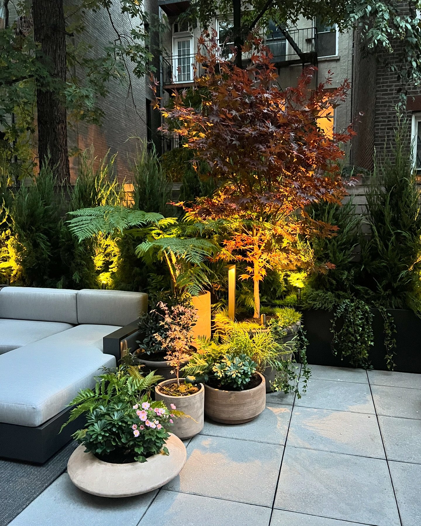 Manhattan Terrace @dimasterystudio 
.
.
.
.
.
.
.
#dimasterystudio #urbangarden #citygarden #gardendesign #landscapedesign #plantingdesign #manhattanterrace #roofterrace #manhattanliving #roofgarden #terracedesign #apld #rooftopdesign #nycterrace #wi