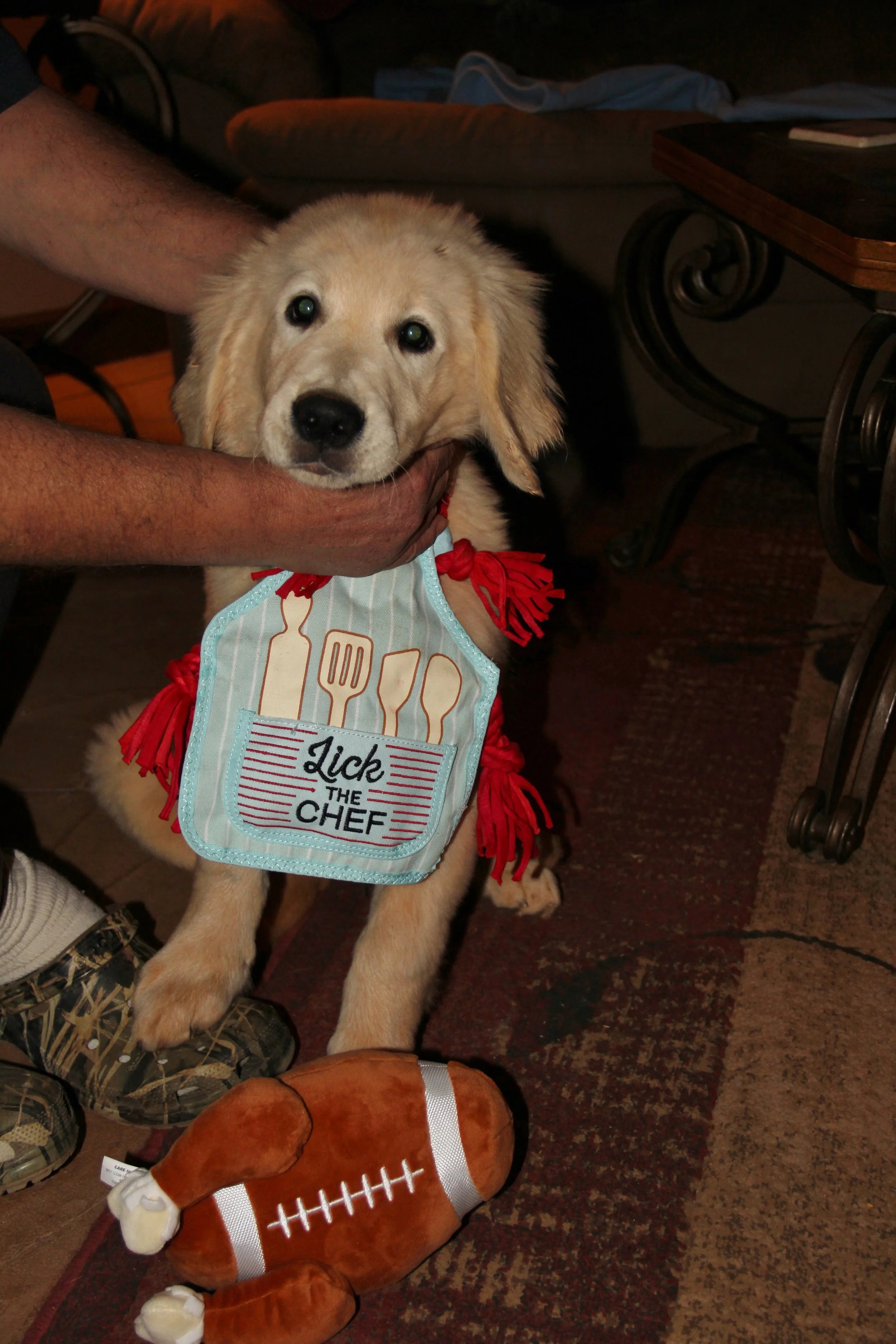 Getting ready for the big game on Turkey day...