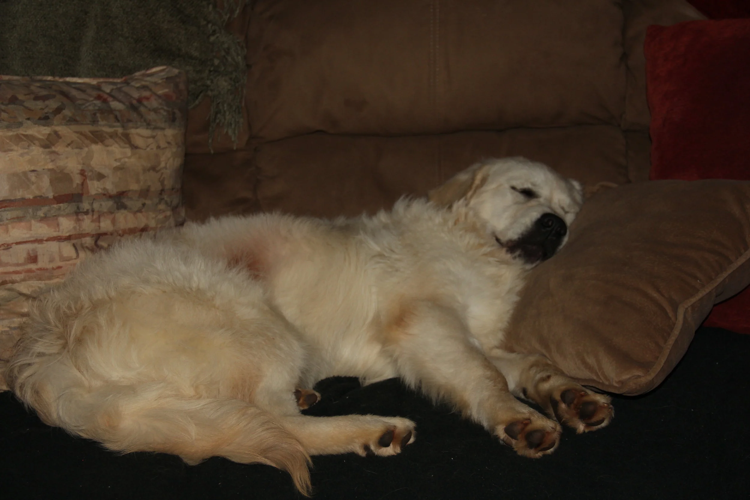 Passed out on the couch after a bath...LOL