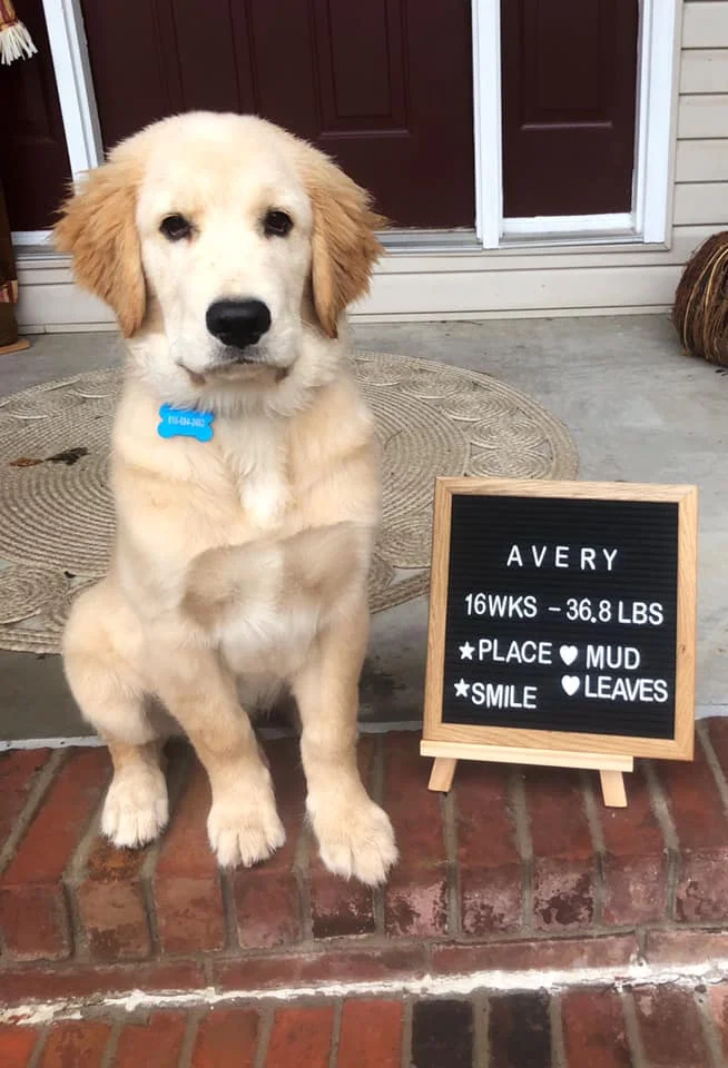 Avery