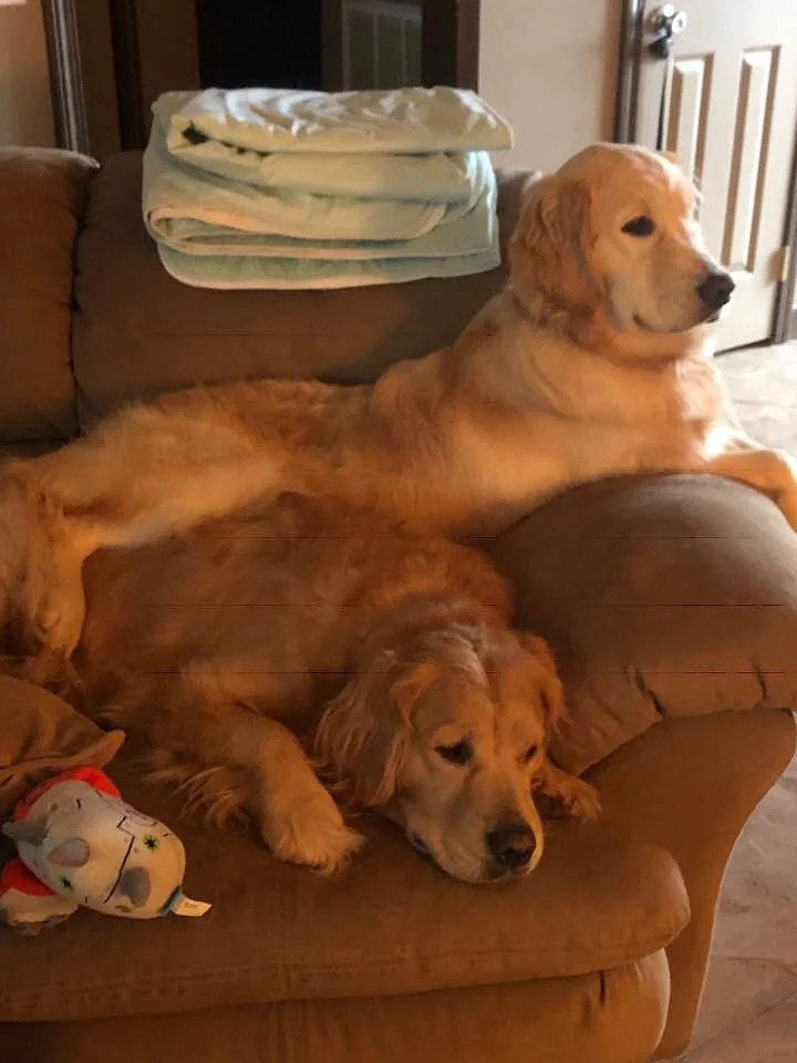 Mom (Autumn) is in her spot