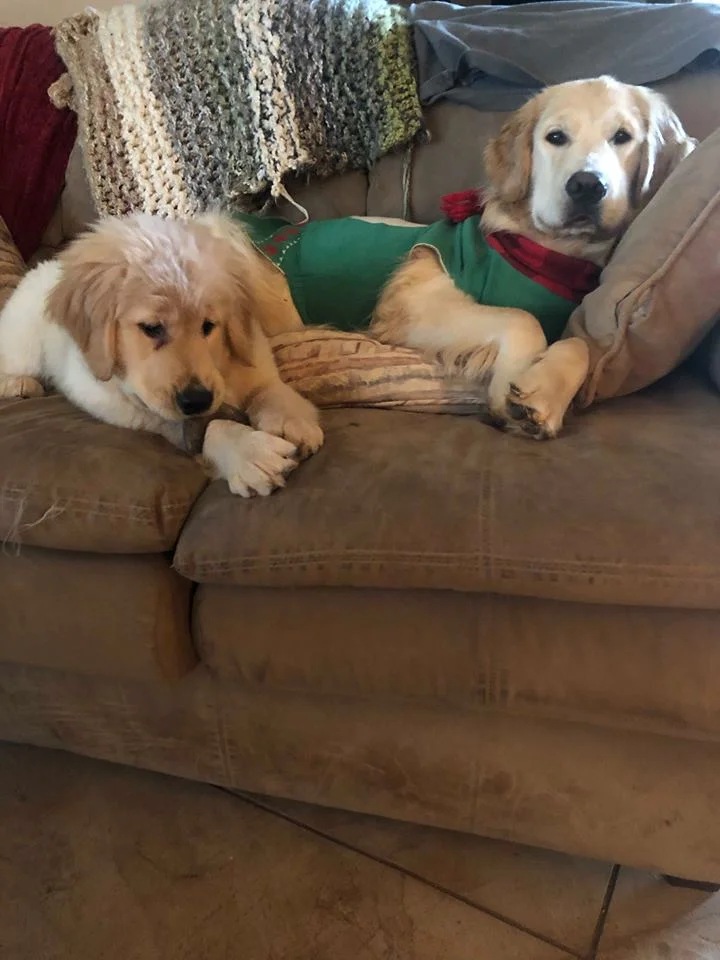 With the Snowman Sweater Milo handed down to her on and next to her sidekick