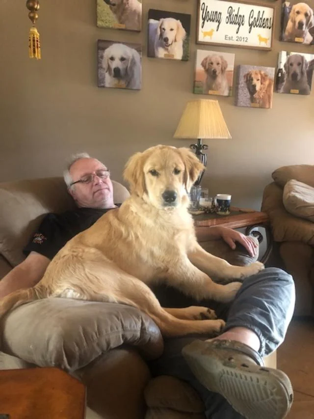 Just like her mom, loves being in dad’s lap 3-2019