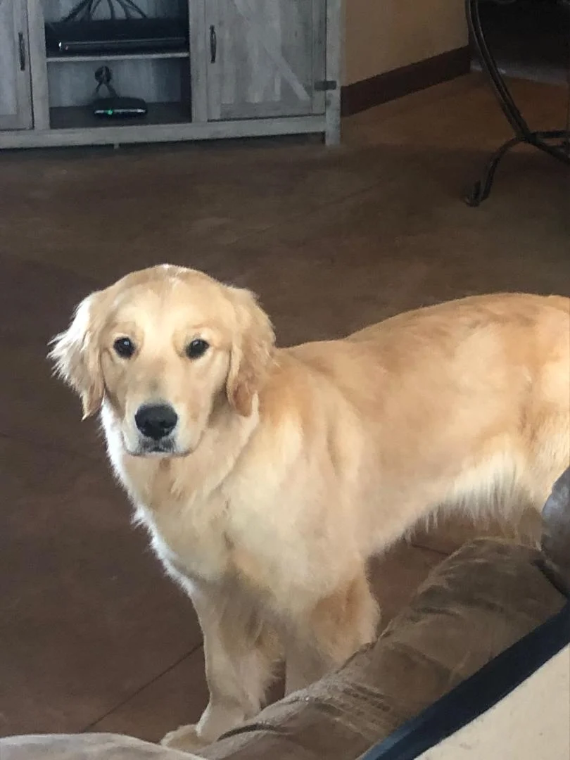 Getting big and beautiful 3-2019