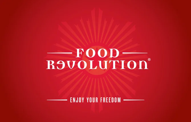 Rev-Food-Assets2.jpg