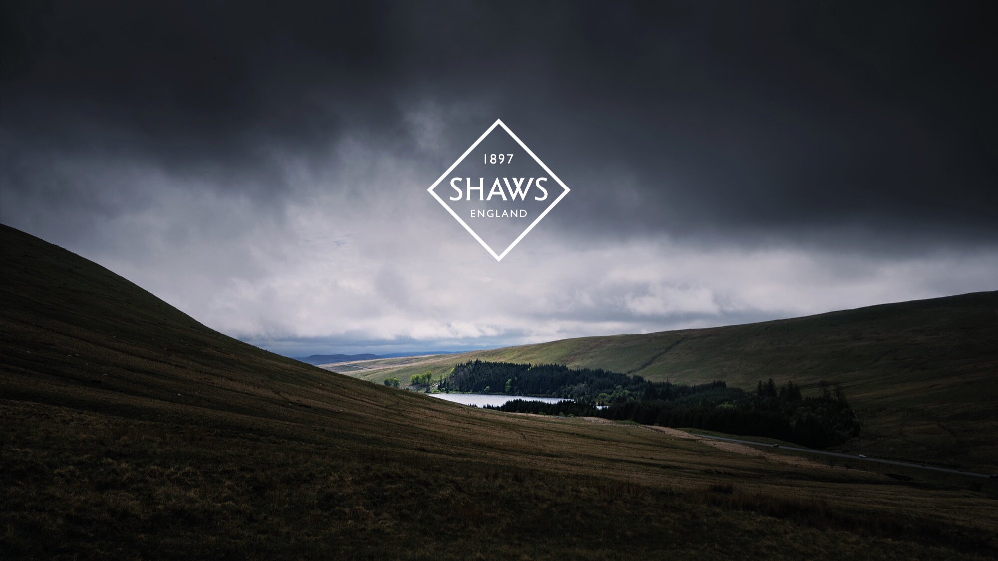 Copy of Shaws Rebrand (Copy) (Copy)