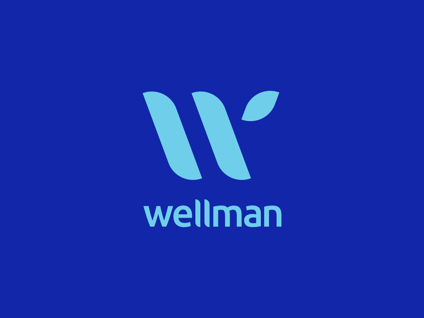 Wellman_Screens_V2_1.jpg