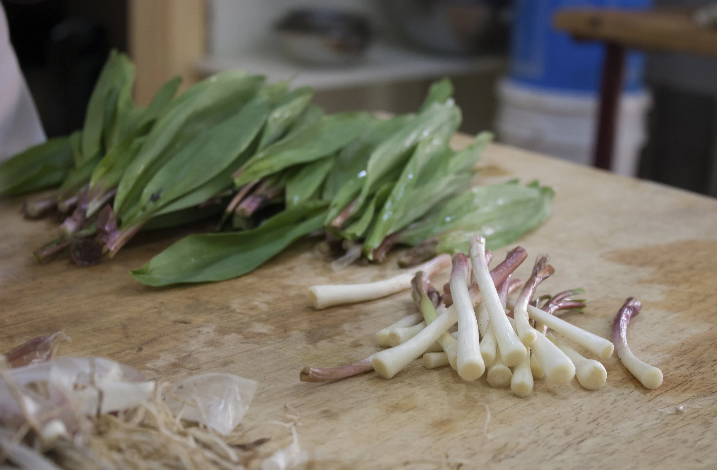 Market season begins. 