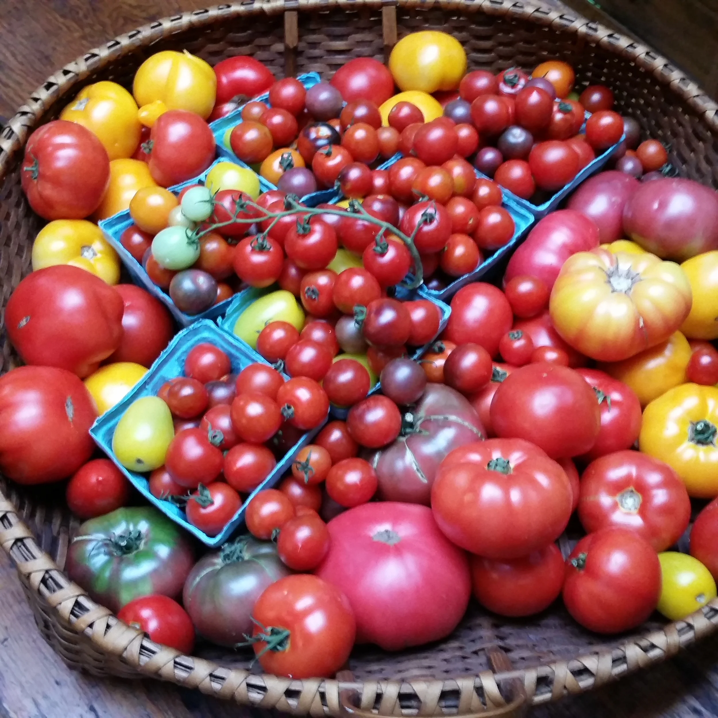 For the love of heirloom tomatoes!