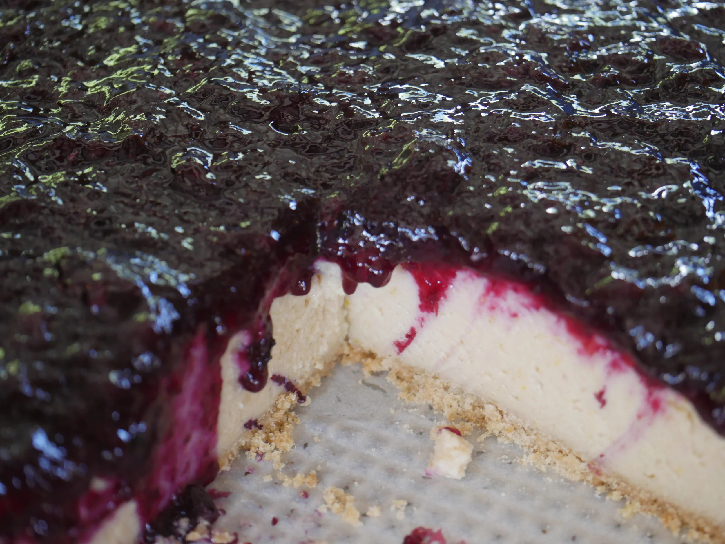 Our gratitude runs deep...