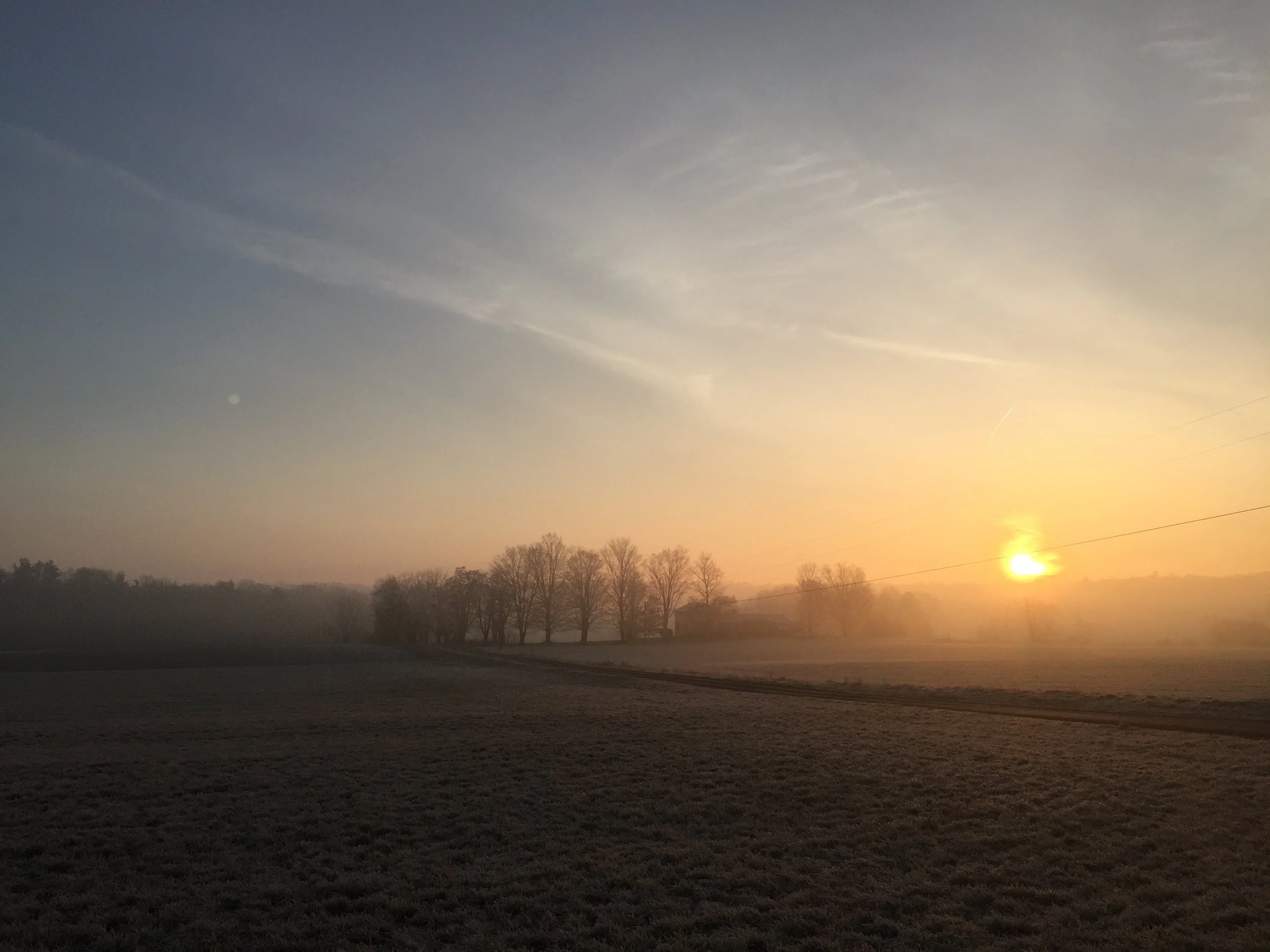 Our last market for the year!