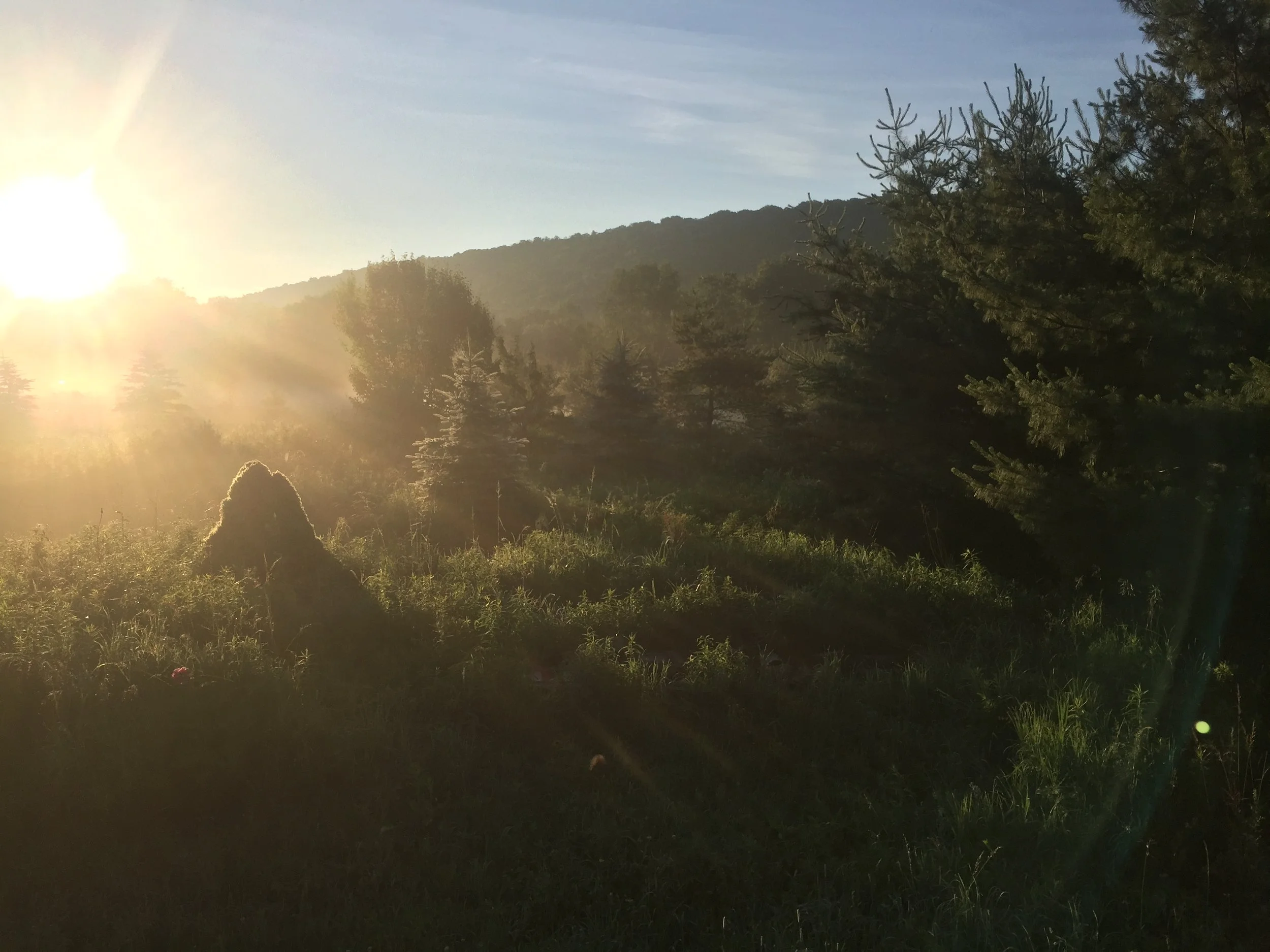 Stay Cool! // Menu for Saturday, June 30, 2018