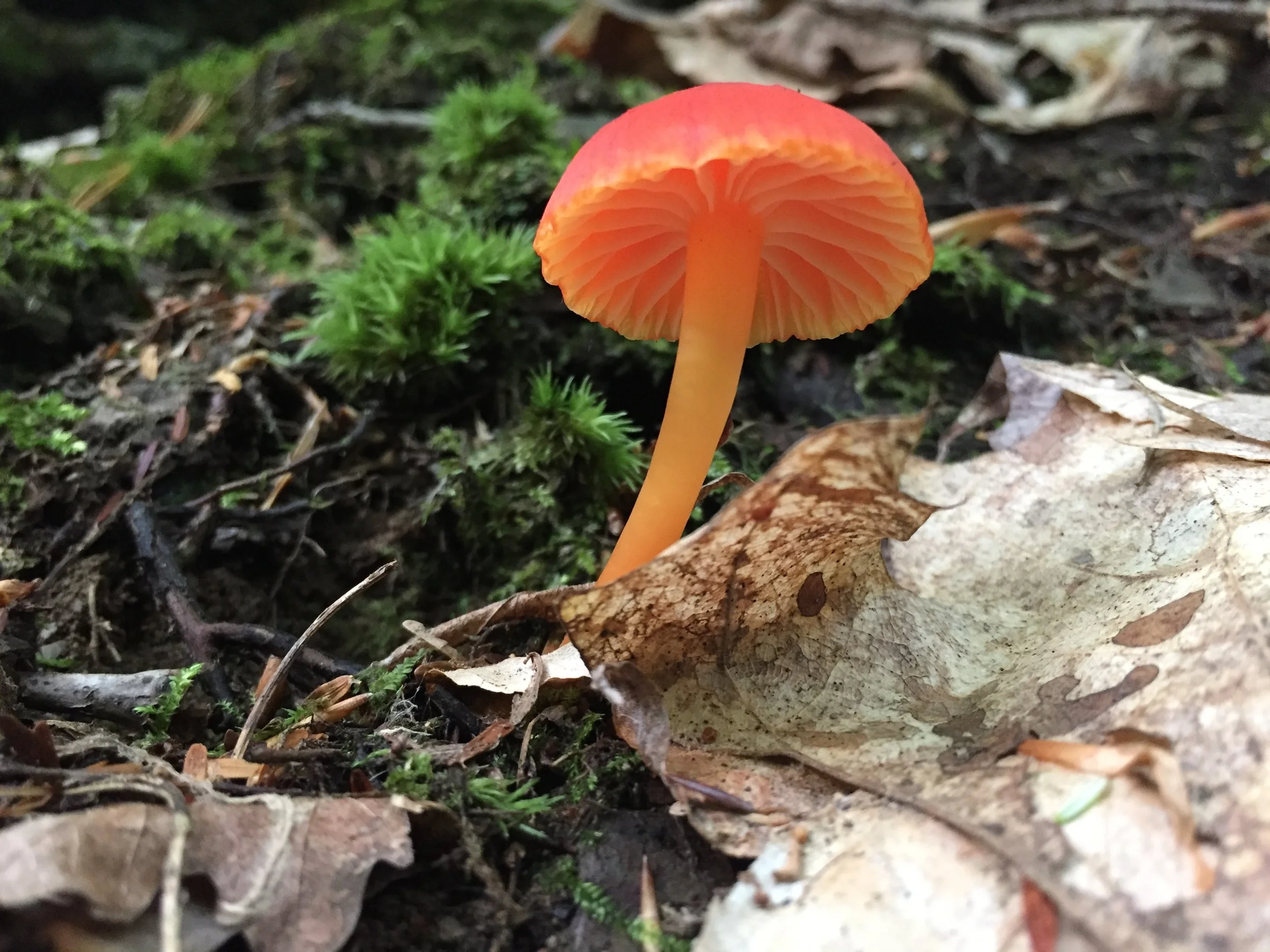 Saturday, July 14, 2018