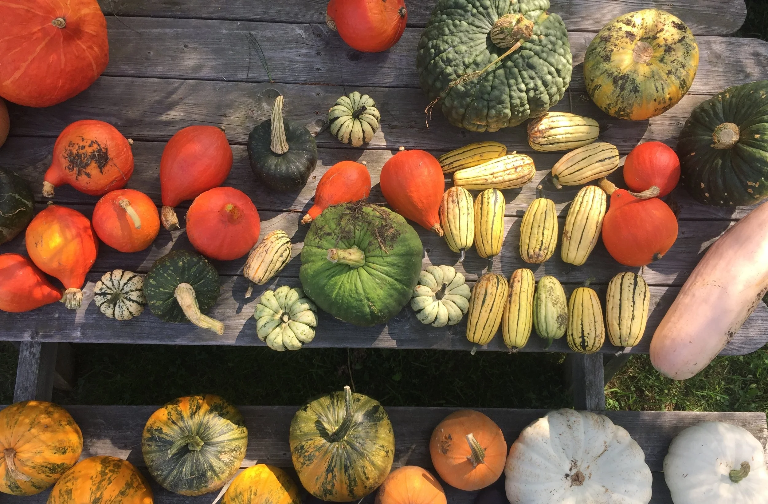 The Season Turns // Menu for Saturday, September 8, 2018