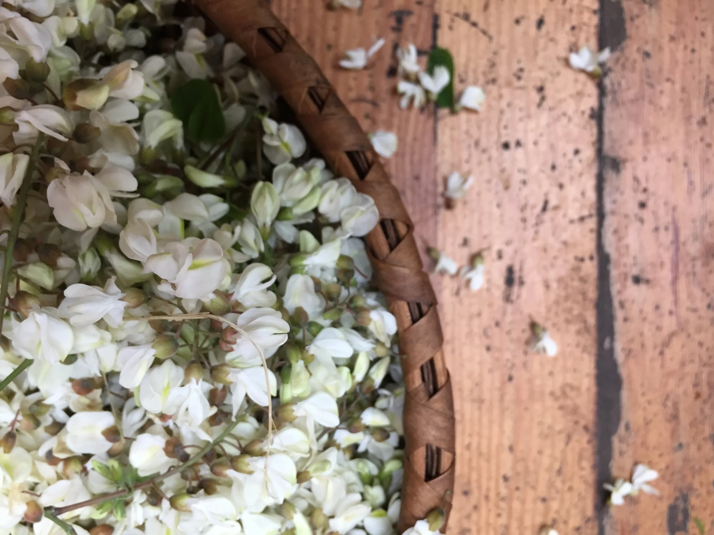 Menu for Saturday, June 15, 2019