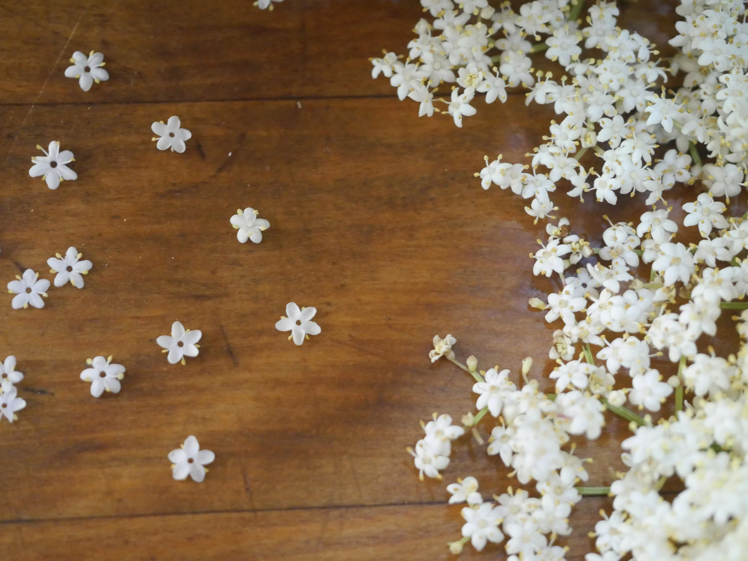 Menu for Saturday, July 13, 2019 // High Summer