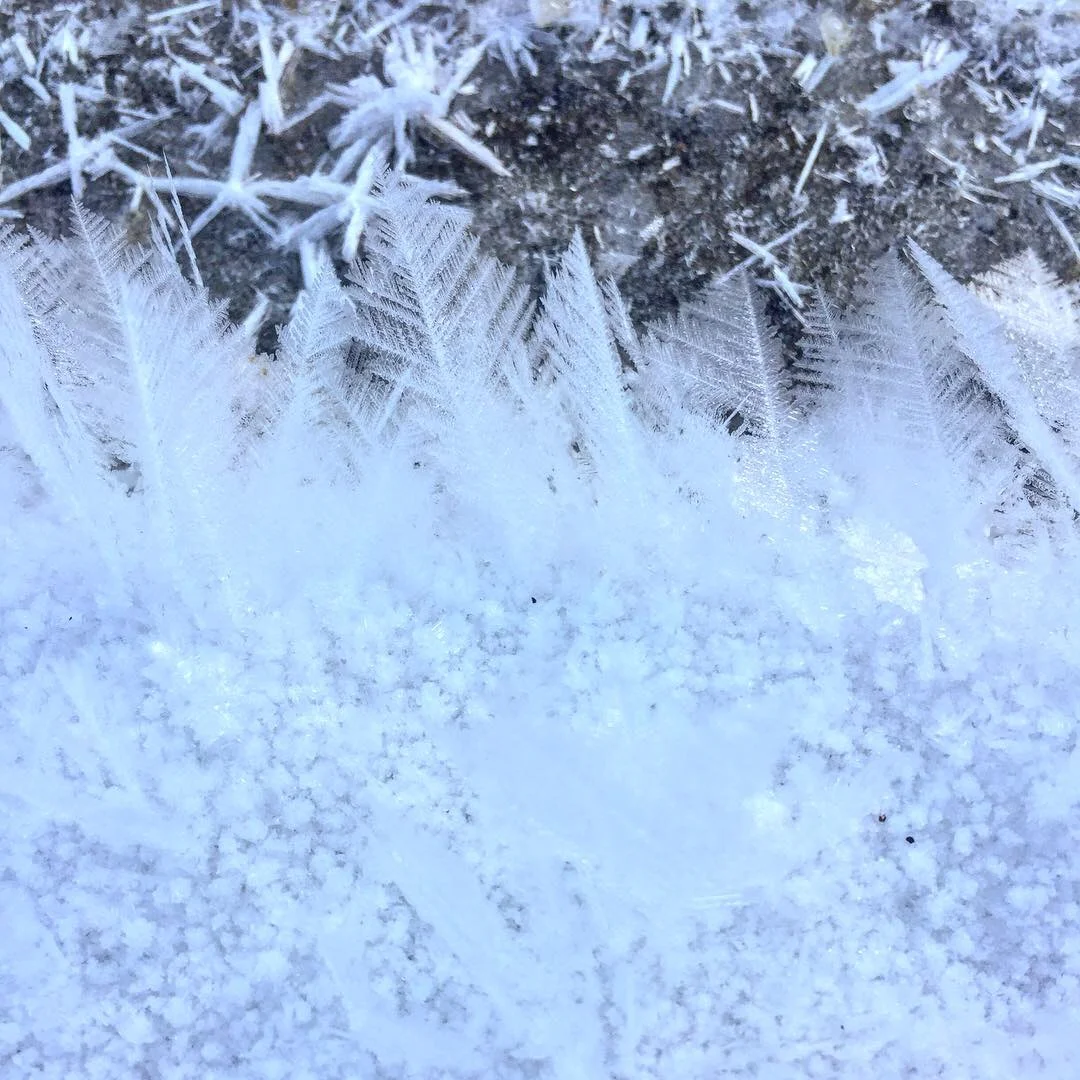 NO MACRO MAMAS AT MARKET THIS SATURDAY!