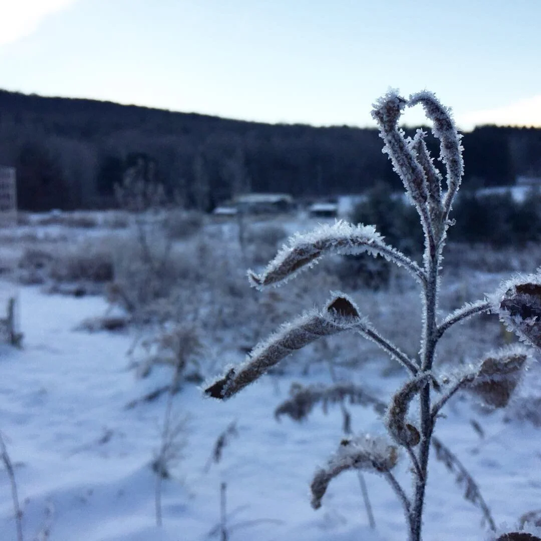 Menu for Saturday, December 14, 2019