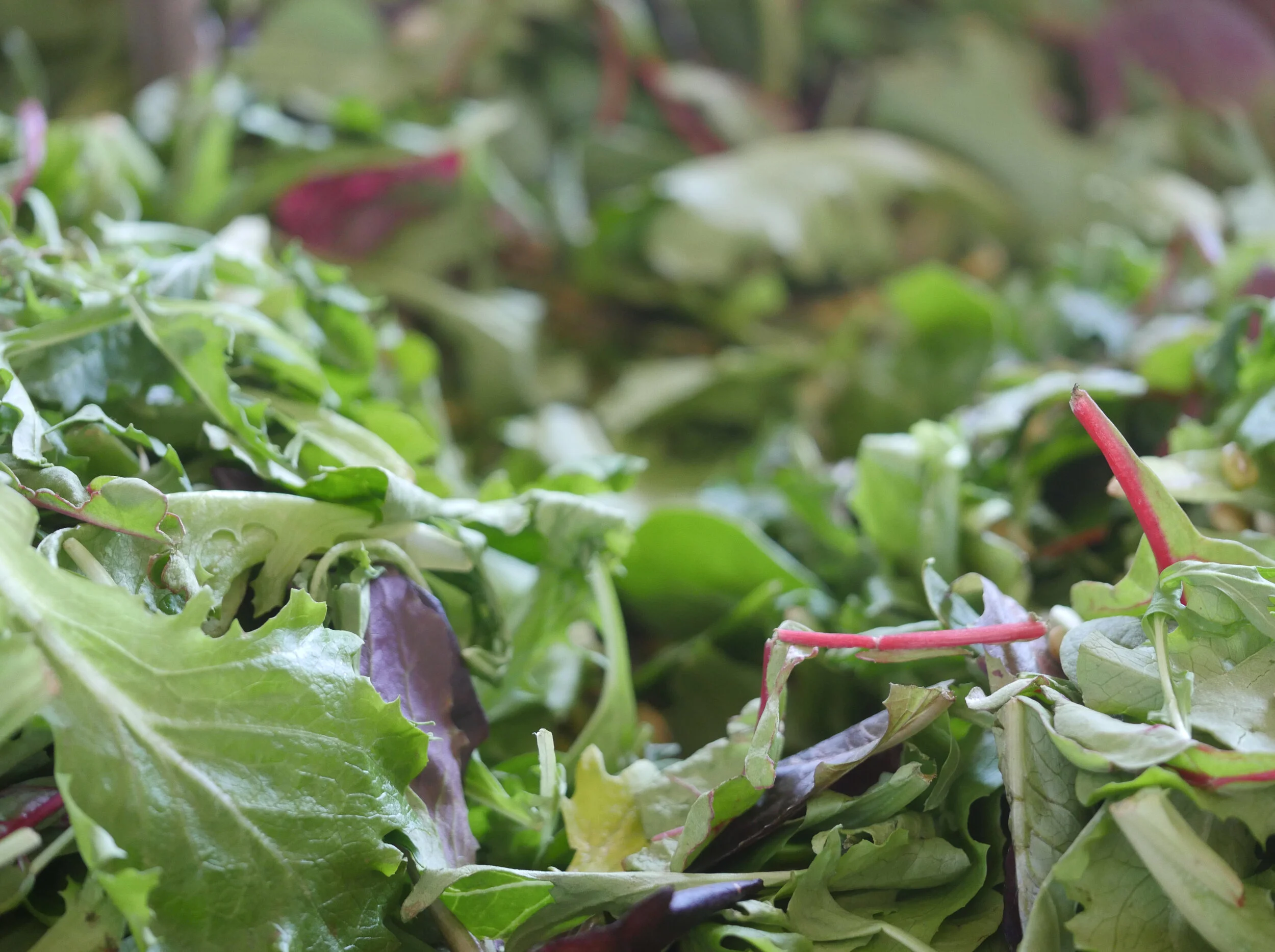 Menu for Saturday May 16, 2020