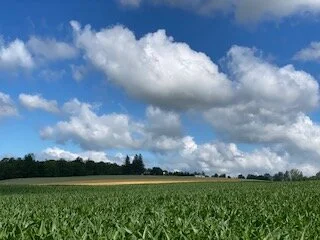 Saturday Market Menu for July 10, 2021