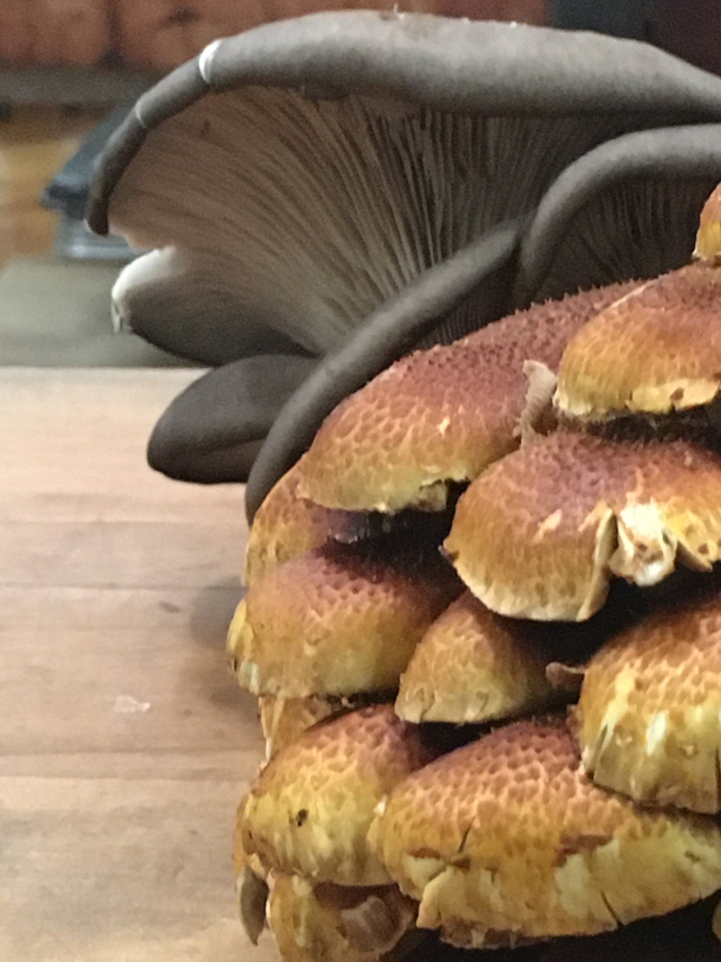 Saturday Market Menu for April 9, 2022