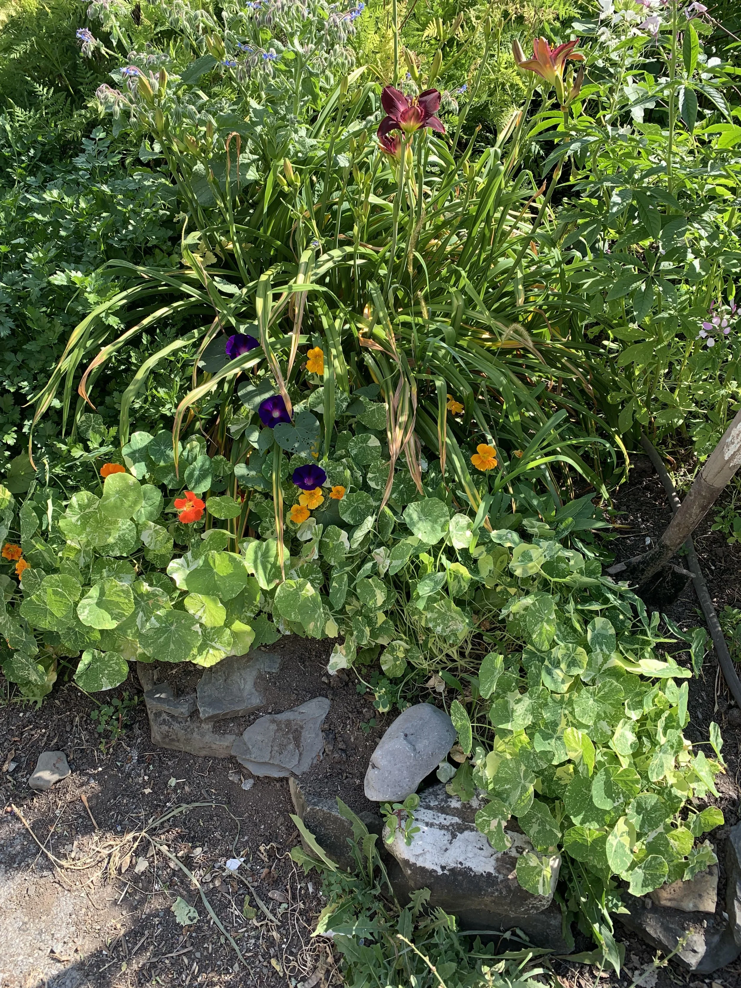 Saturday Market Menu July 16, 2022