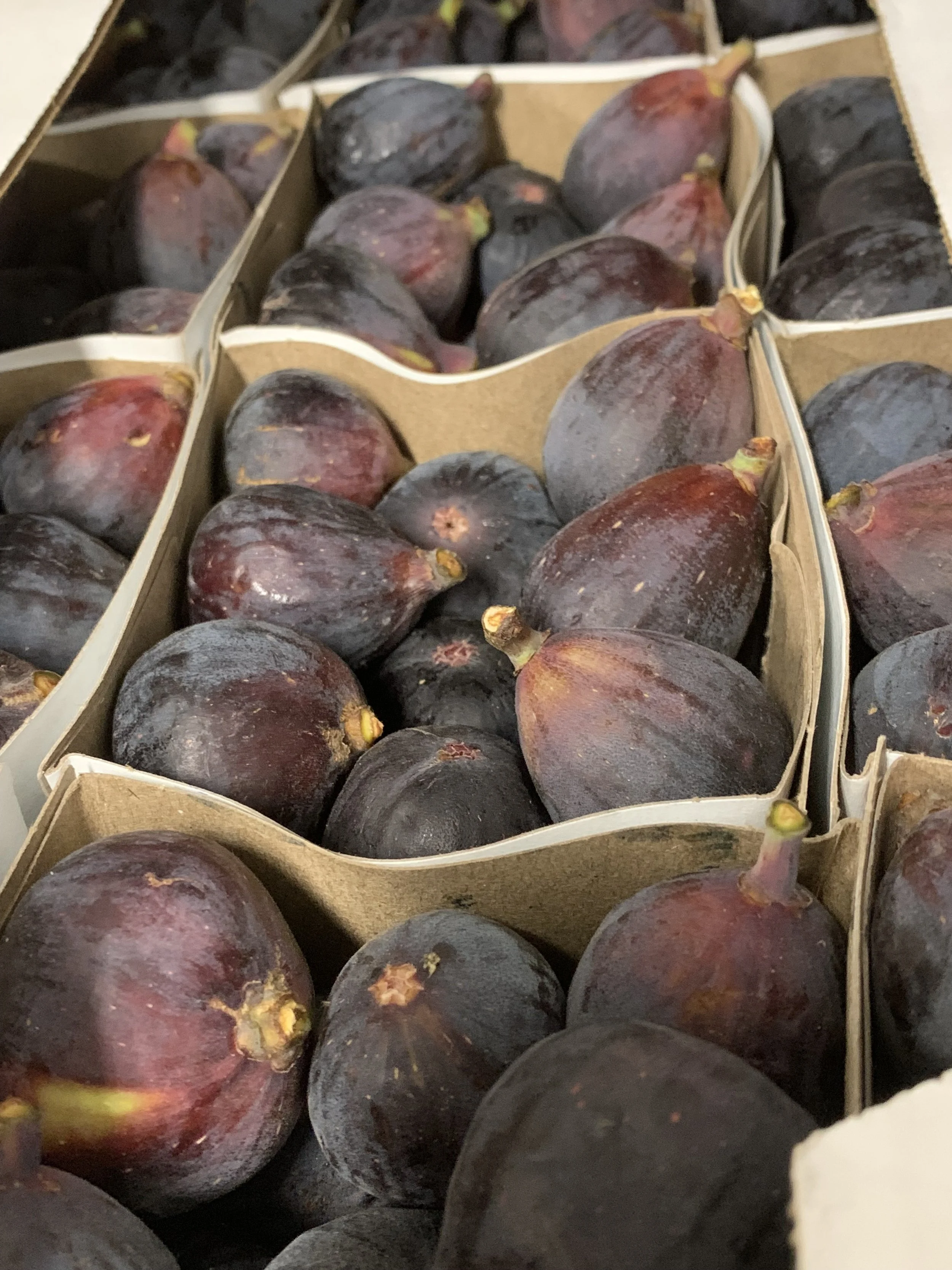 Saturday Market Menu for August 13, 2022