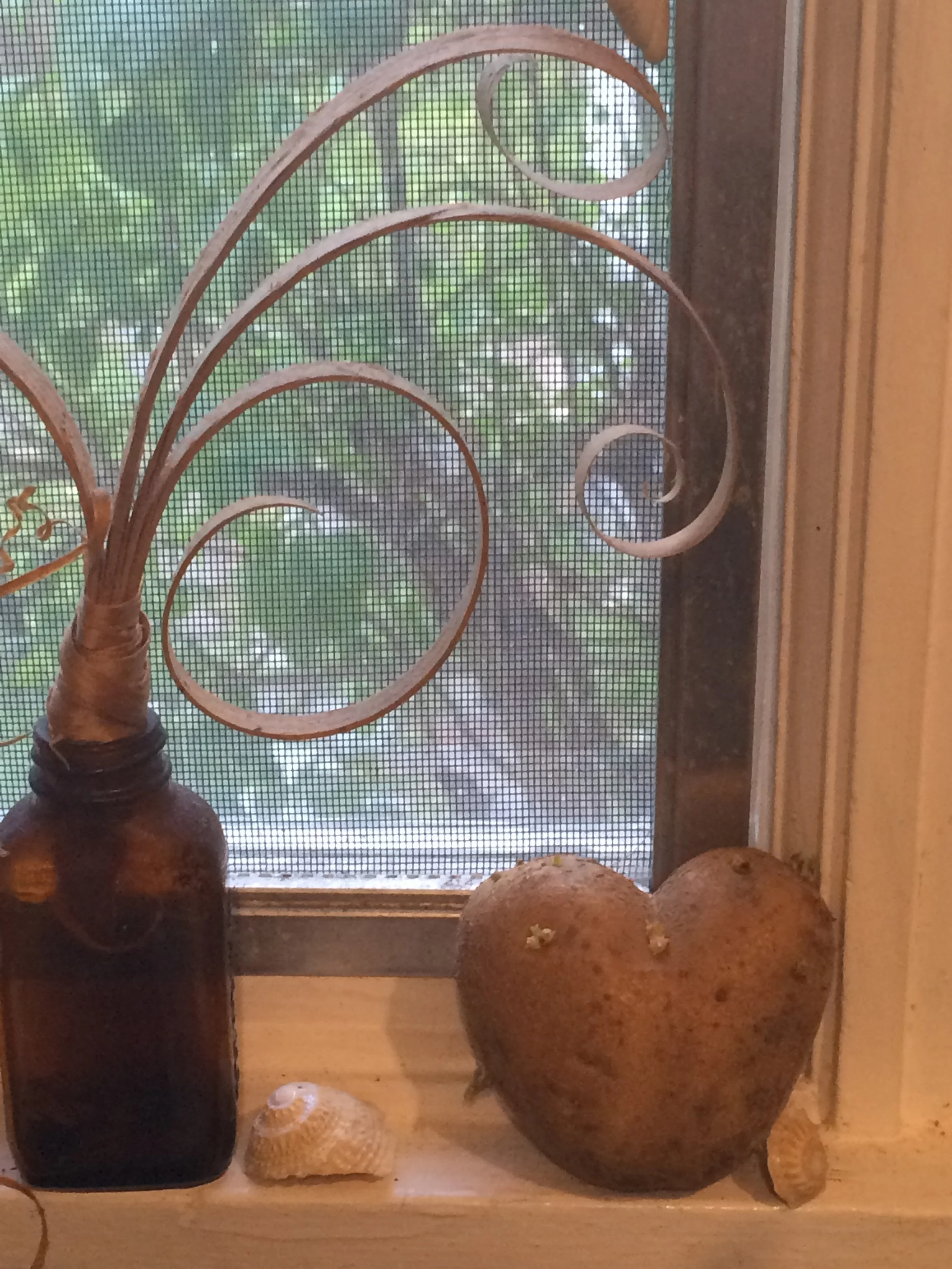 Saturday Market Update for December 17,2022