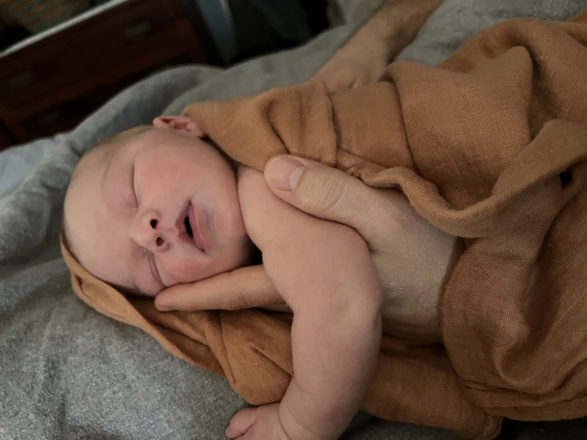 Saturday Market Menu for May 6, 2023