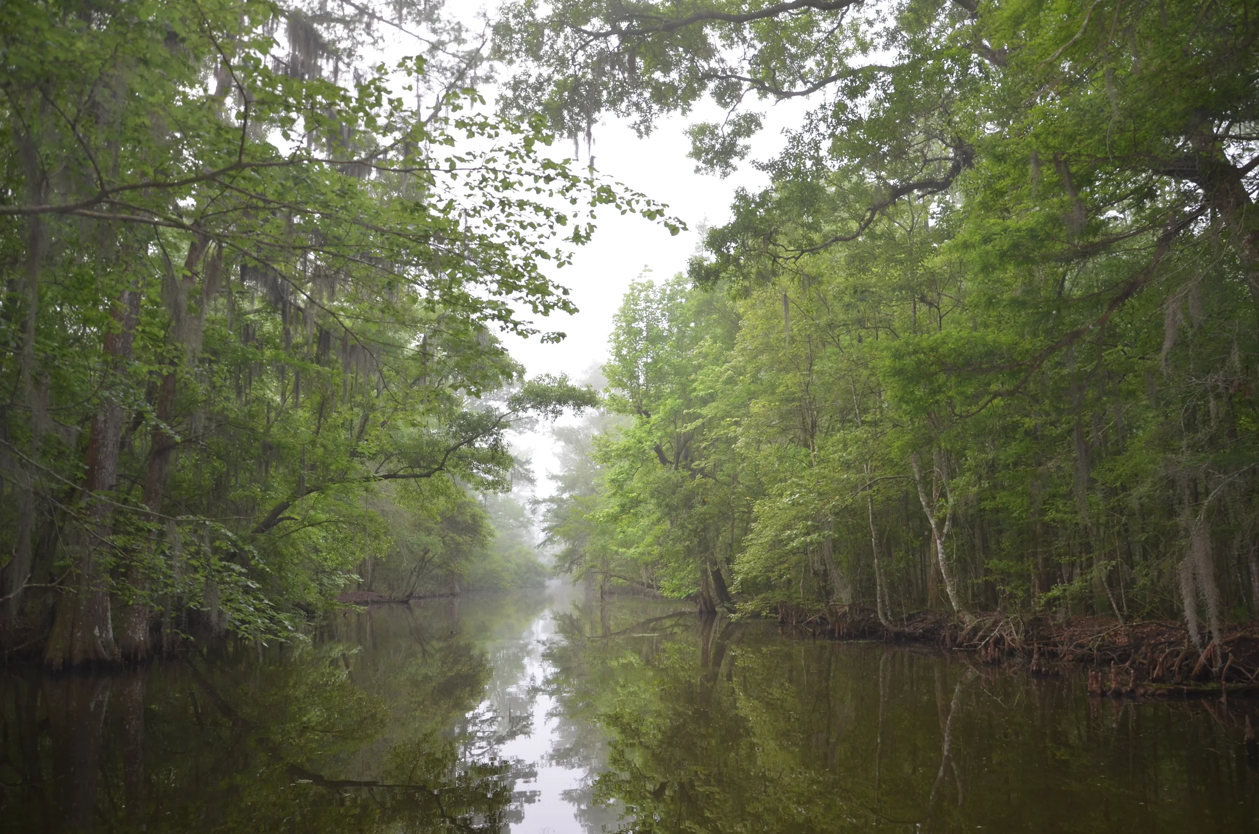 DSC_0986.JPG