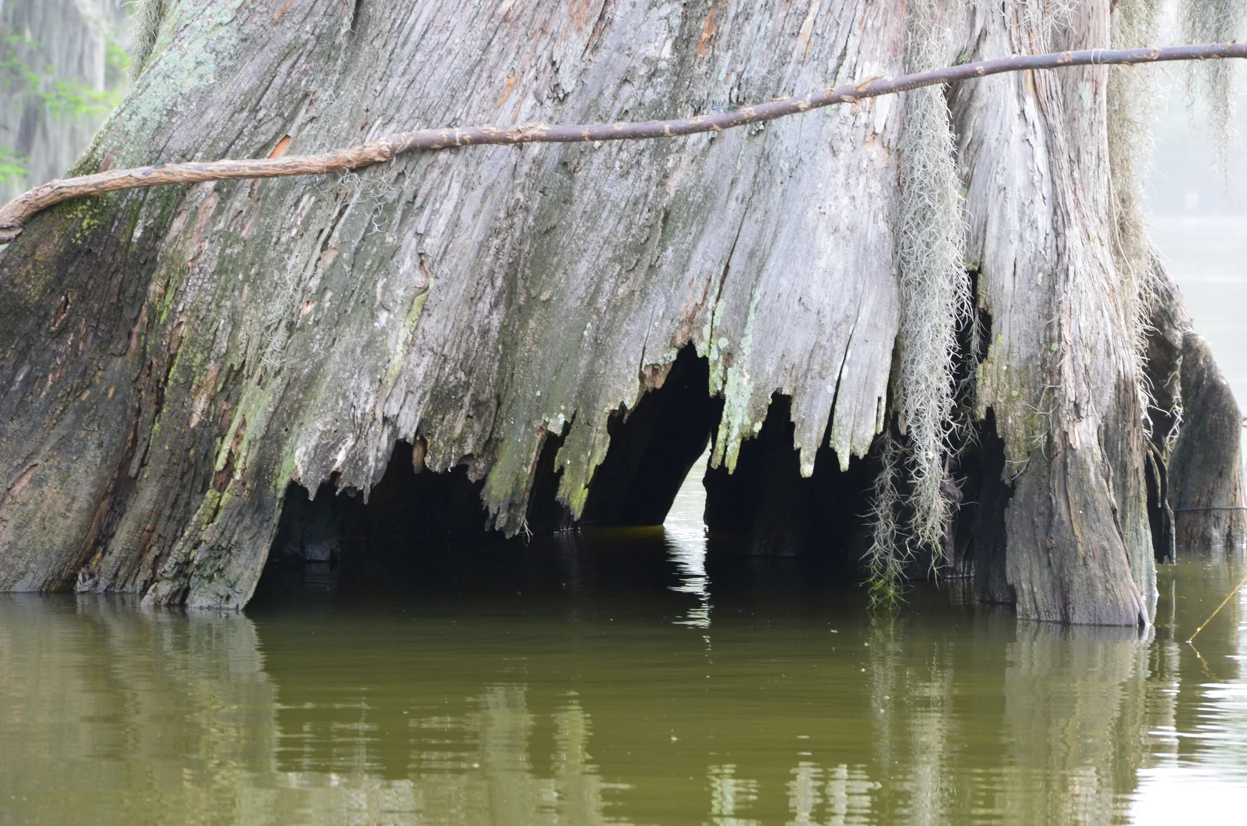 DSC_0015.JPG