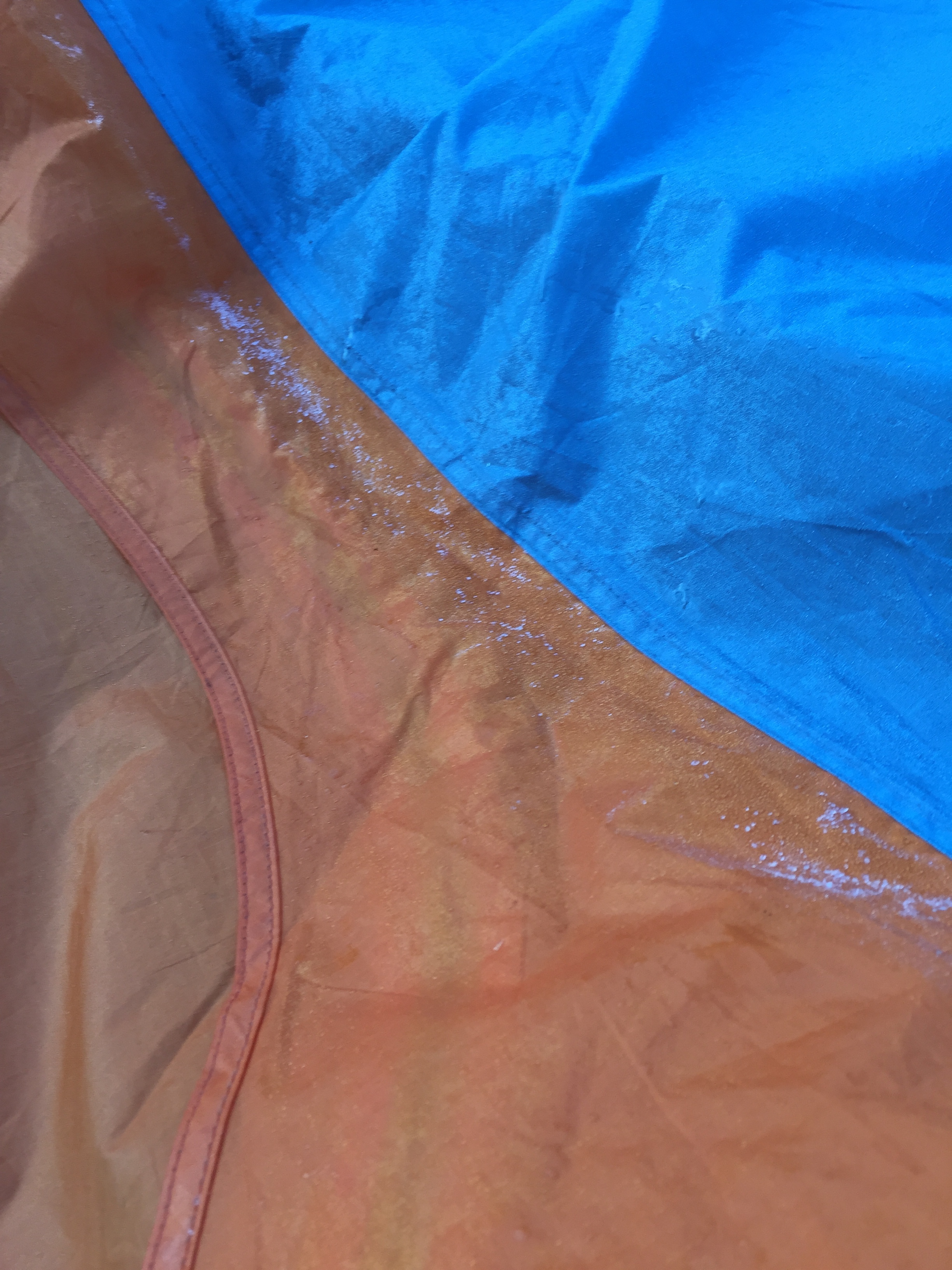 Yeah, that's frost. In June.