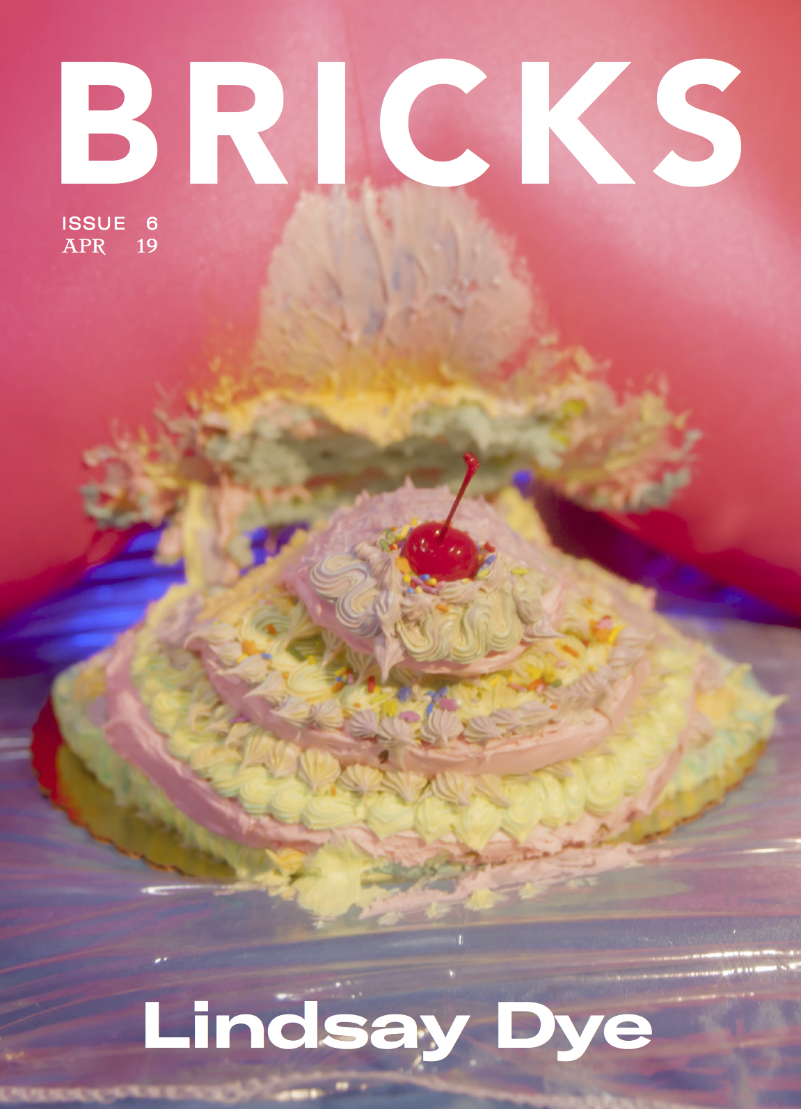  Lindsay Dye for Bricks Magazine Cover Story, 2019.   
