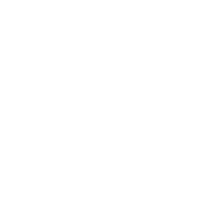 pave.png