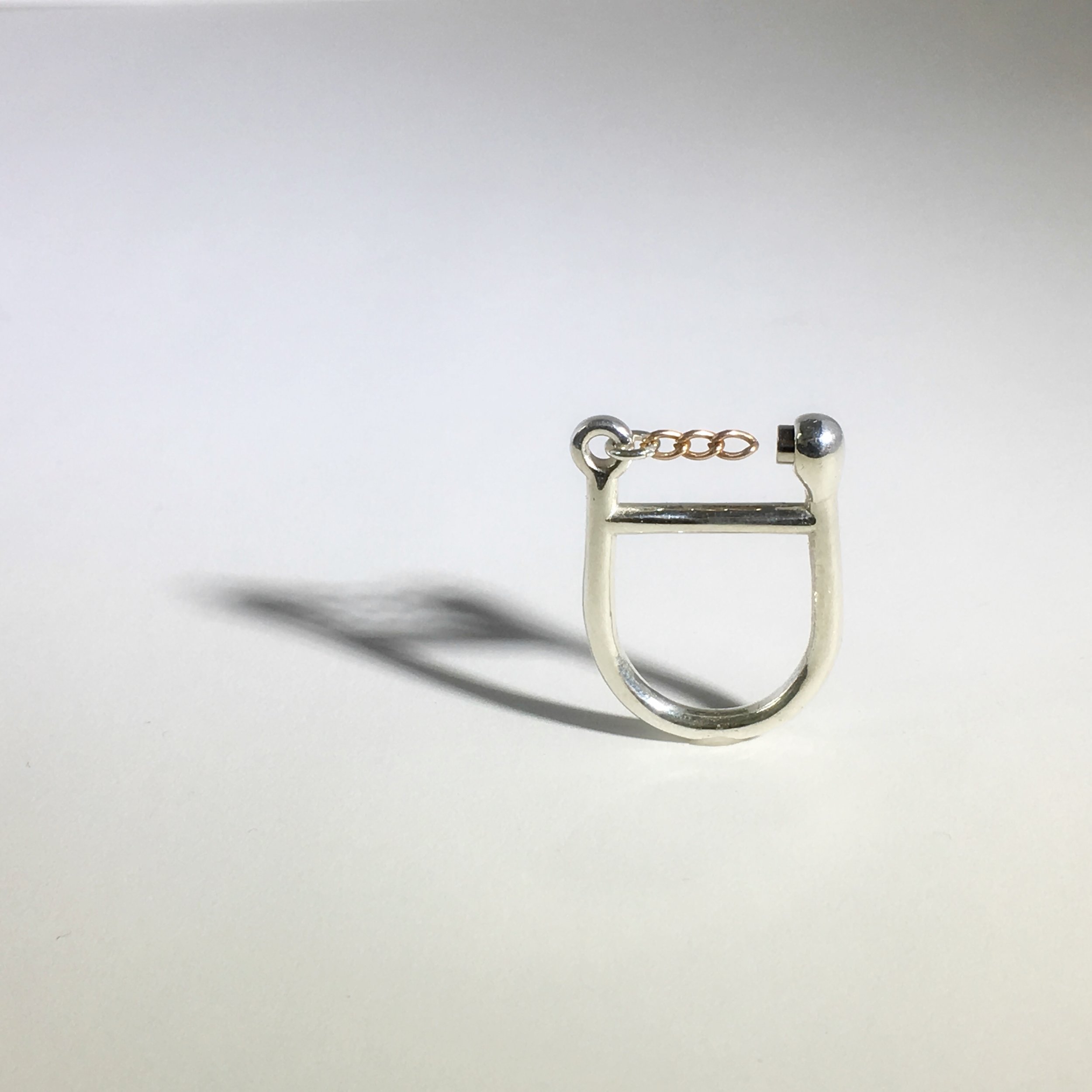 One+Loop+Ring+Shadow.jpg