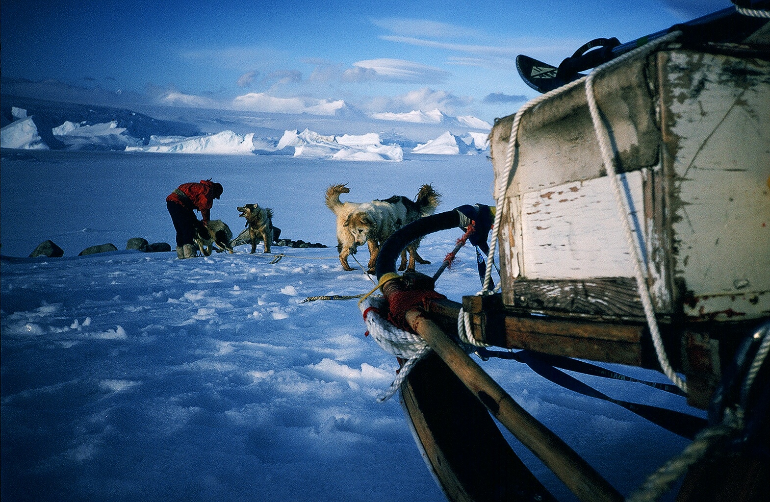 I was fortunate to be part of an end of an era - dogs in Antarctica