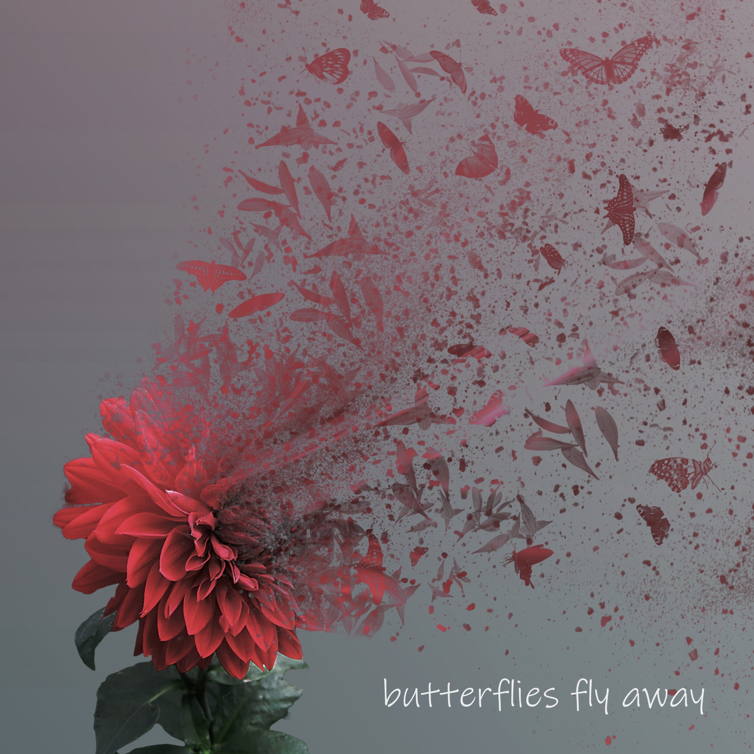 Butterflies+Fly+Away.jpg