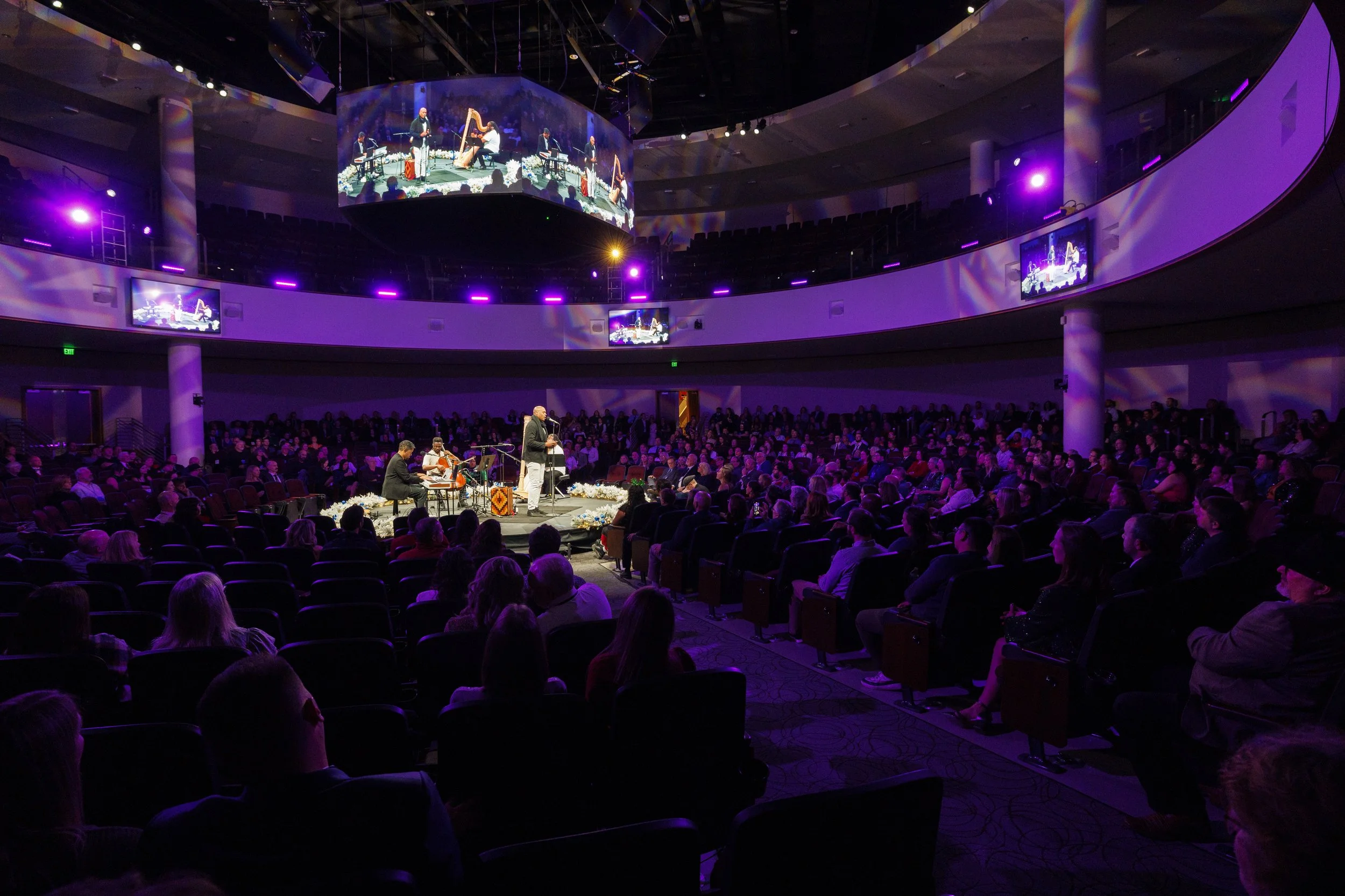 SonsofSerendip Live Action 1.jpg