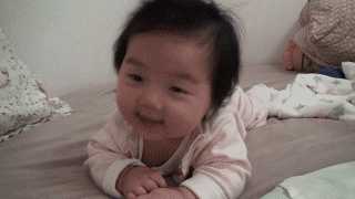 giphy-3.gif
