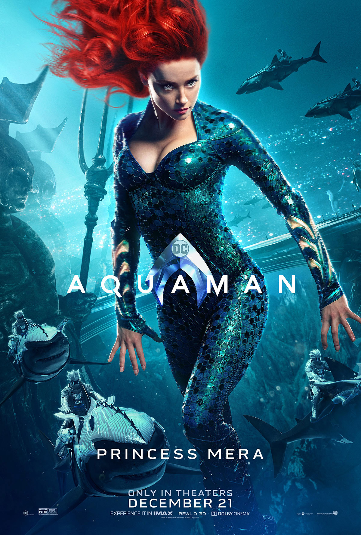 poster_mera.jpg