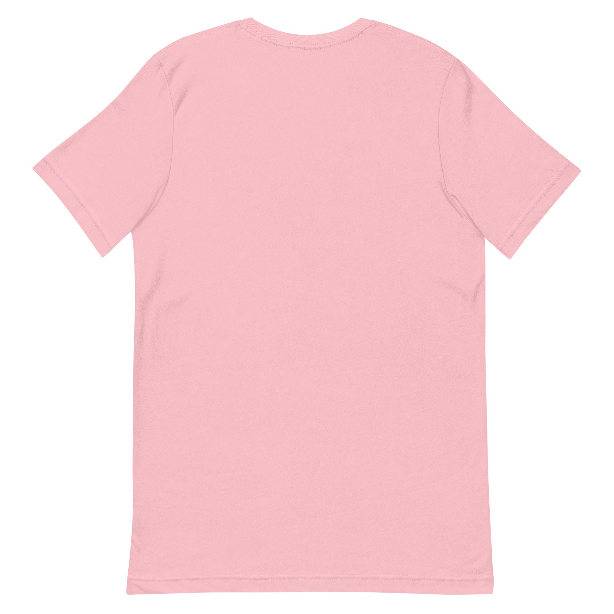unisex-staple-t-shirt-pink-back-66c09ee5bb29f.jpg